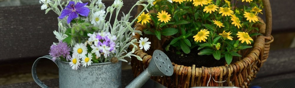 Geräte und Geschenkideen für die Gartenarbeit
