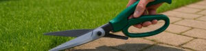 Gartenscheren und Grasschweren für den perfekten Rasen
