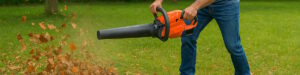 Laubbläser im Garten bei der Arbeit