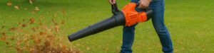 Laubsauger für einen sauberen Garten und Rasen